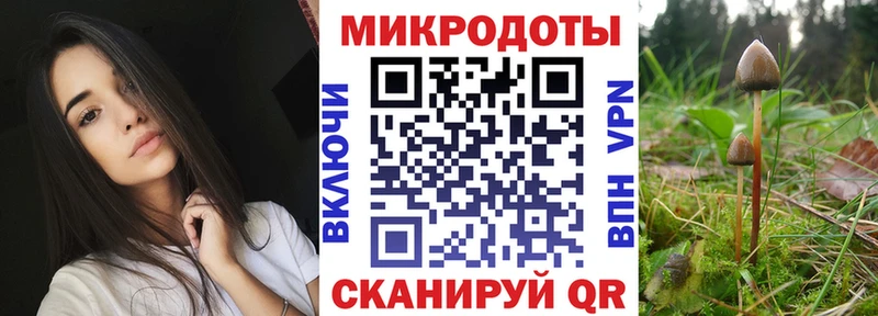 Галлюциногенные грибы мухоморы  где купить наркотик  блэк спрут сайт  Чёрмоз 